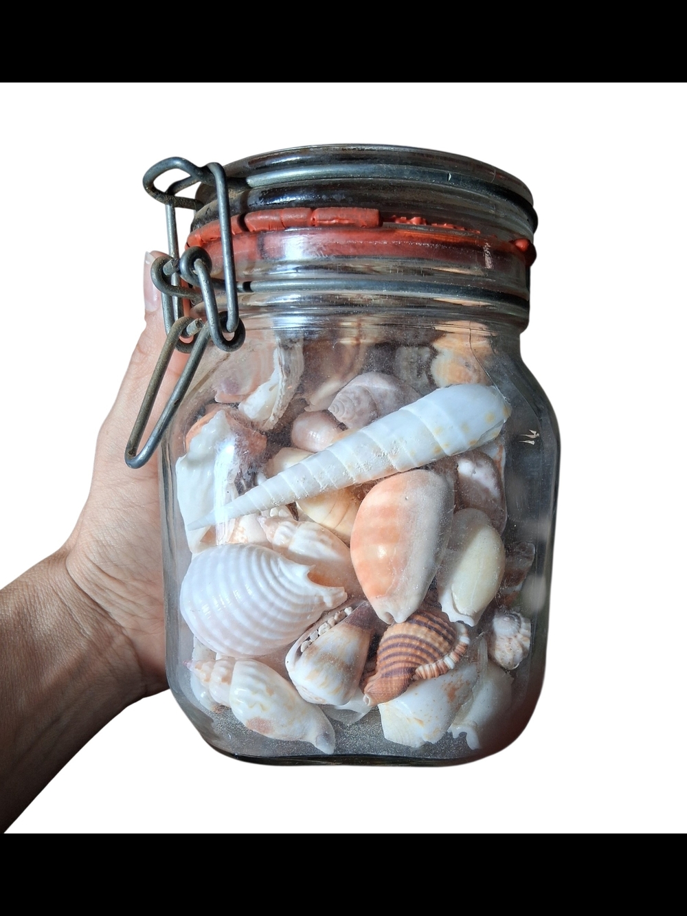 Decorative Glass Jar Filled with Natural Seashells - White & Tan